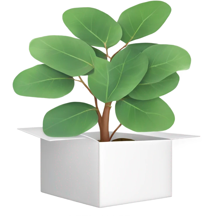 eucalyptus inside white box  emoji