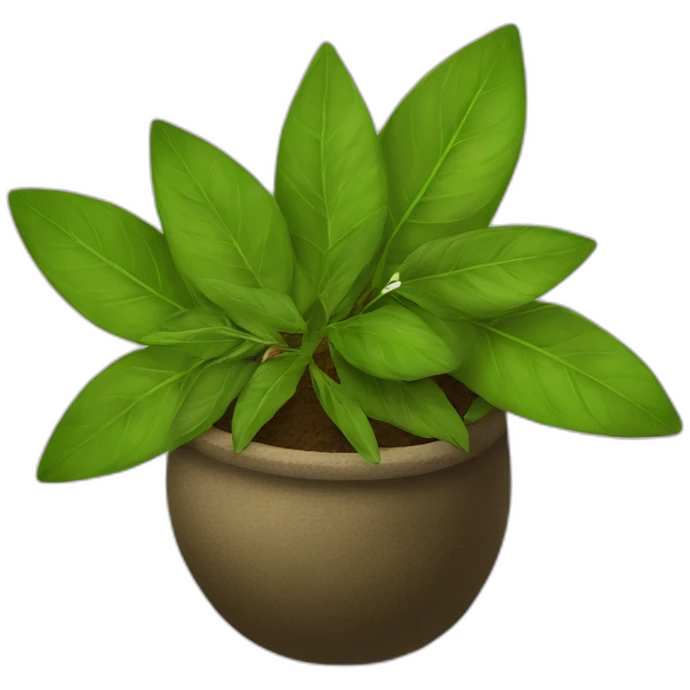 yerba maté emoji