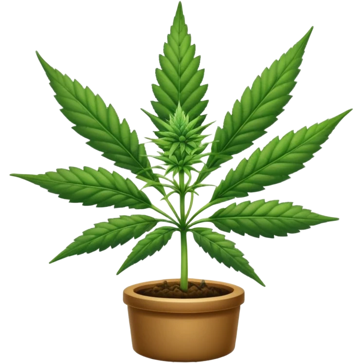 Cannabis emoji