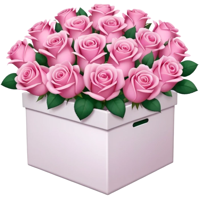 bouquet of pink 30 roses in a white box，no leaves emoji