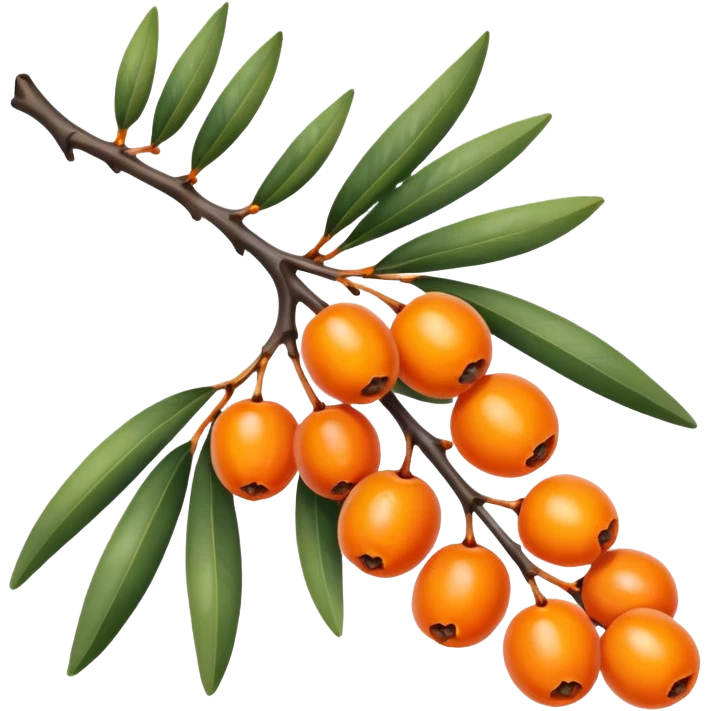 sea buckthorn branch with orange berries emoji