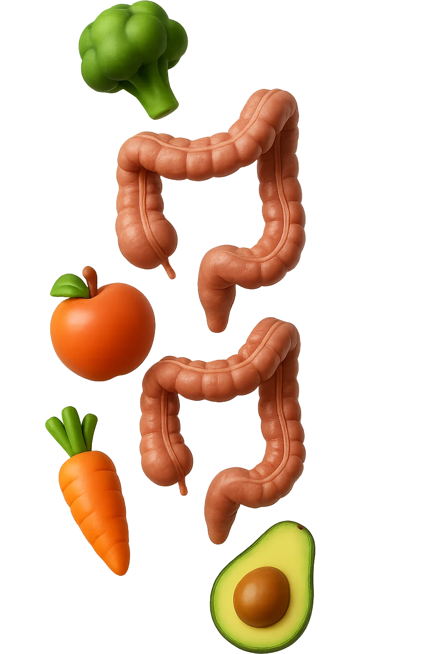 emoji stile iphone in 3d di cibo sano che fluttua in aria vericalmente insieme a pezzi di colon umano anatomico, iperrealistico 4k emoji