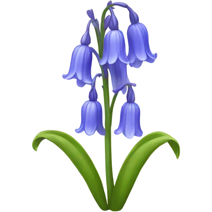 Bluebell flower emoji emoji