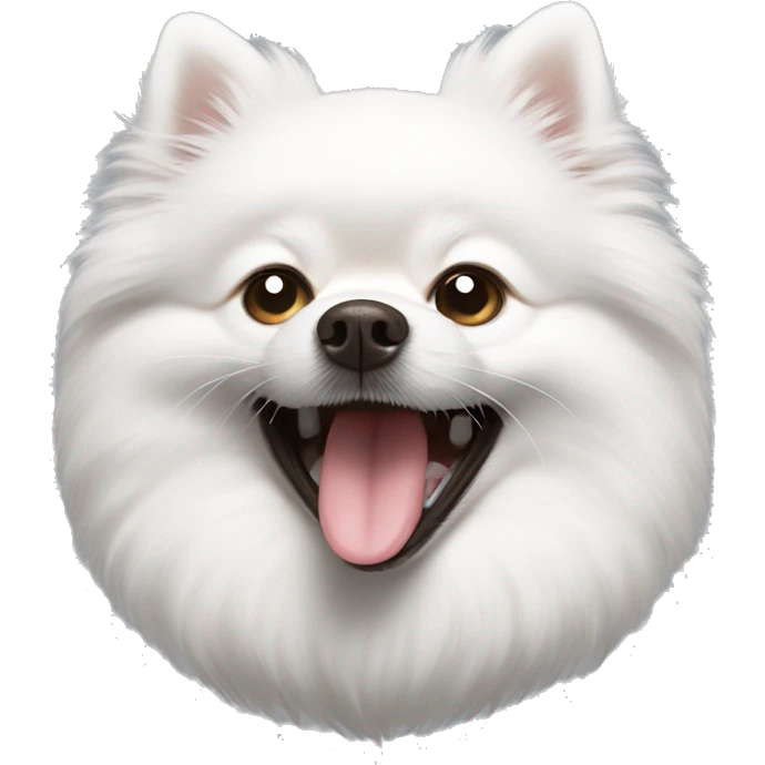 White Pomeranian Spitz yawns emoji