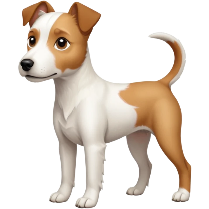 a full body large white parson russell terrier looking dog the size of a kelpie with light brown long ears and a light brown patch on one eye and a large snout emoji