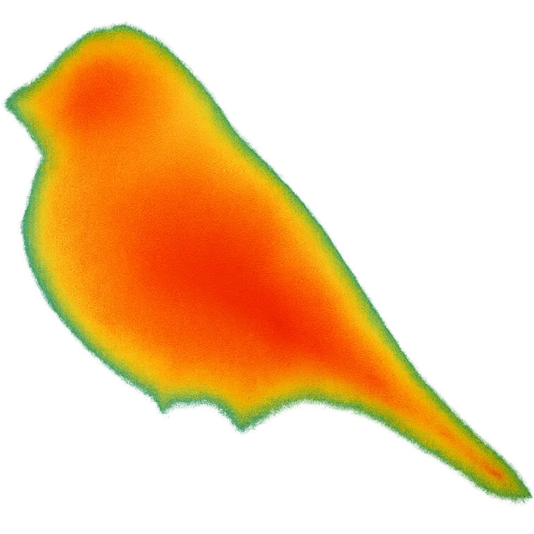 a bird emoji