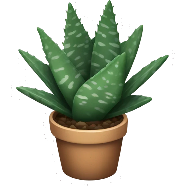 Haworthia zebra succulent  emoji