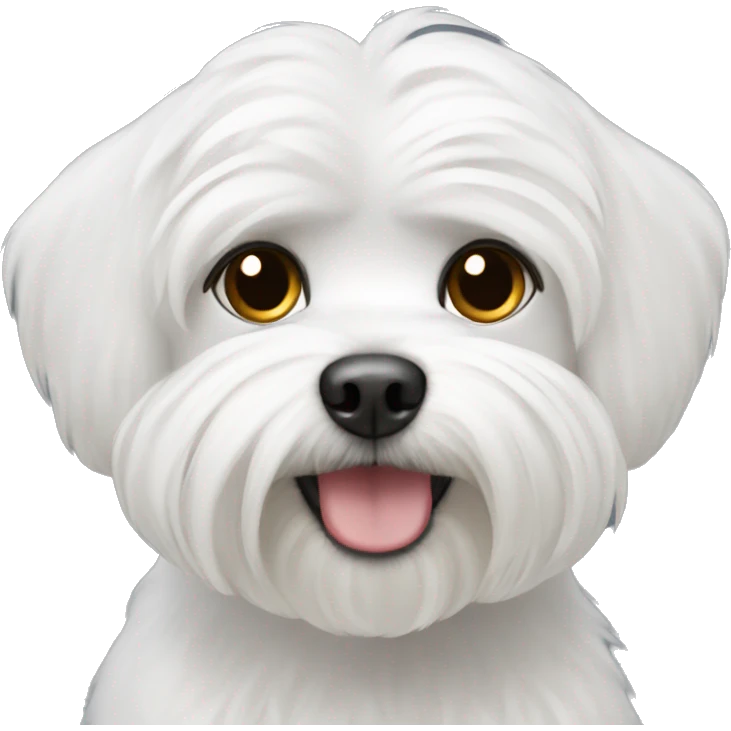 White Maltese emoji