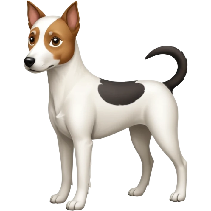 a full body large white parson russell looking dog the size of a kelpie with light brown ears and a light brown patch on one eye and a large snout emoji