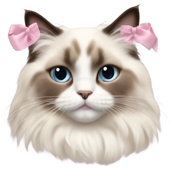 Cute Realistic ragdoll cat with pale pink bow emoji