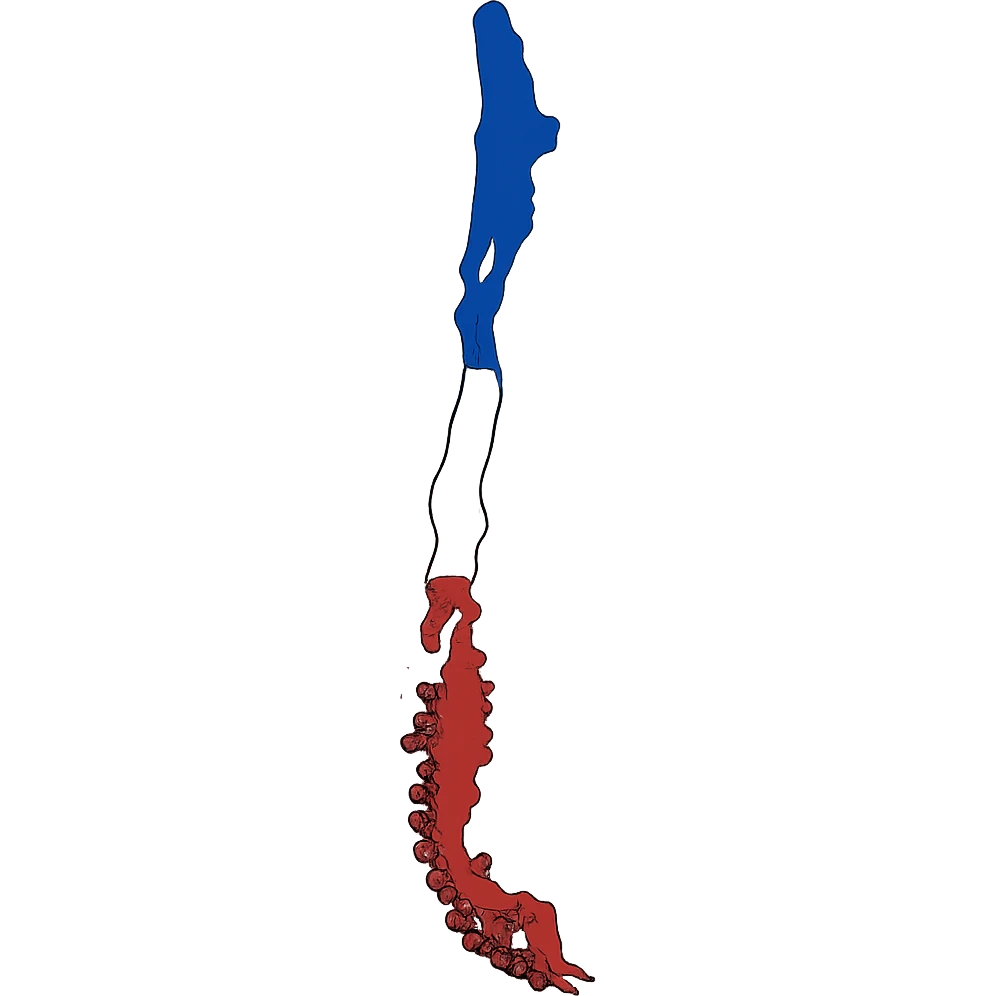 flat toon style Chile country map with flag colors emoji