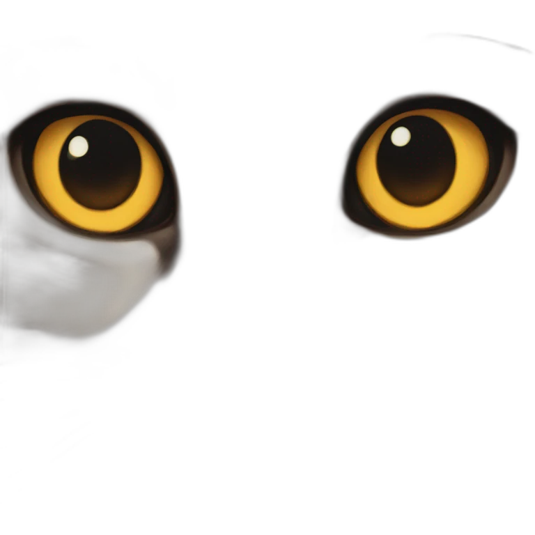 Cat eyes emoji
