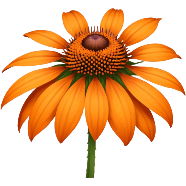 Amazing. What about orange echinacea? emoji