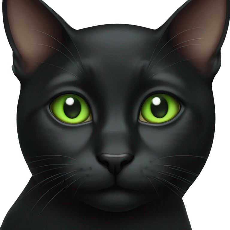 Black cat vit Green eyes  emoji