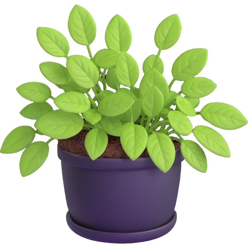 Small sprouts of Plectranthus Verticillatus with extremely round perfect circle leaves growing in a shiny metallic pot emoji