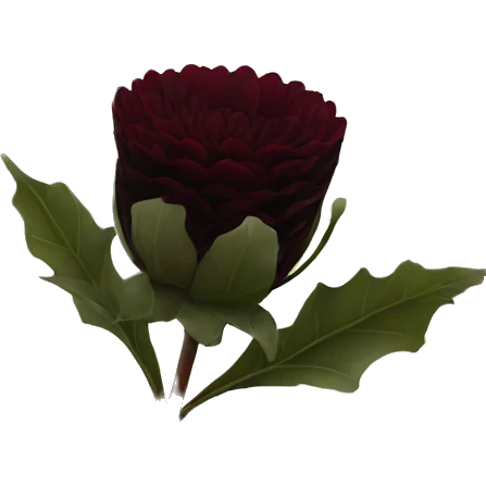 give me a black dahlia flower with a black color and burgundy red. emoji