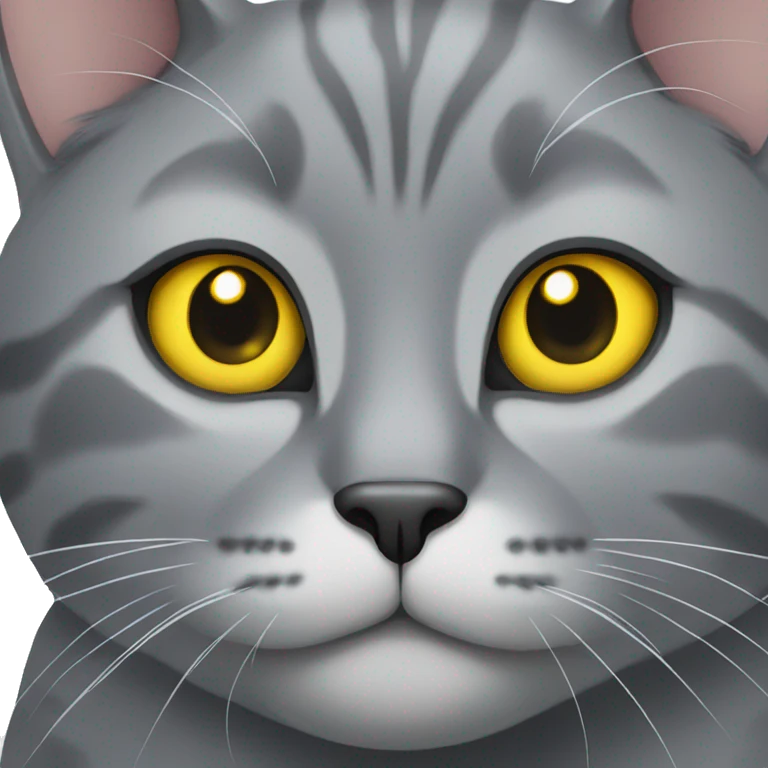 Grey cat with yellow eyes  emoji
