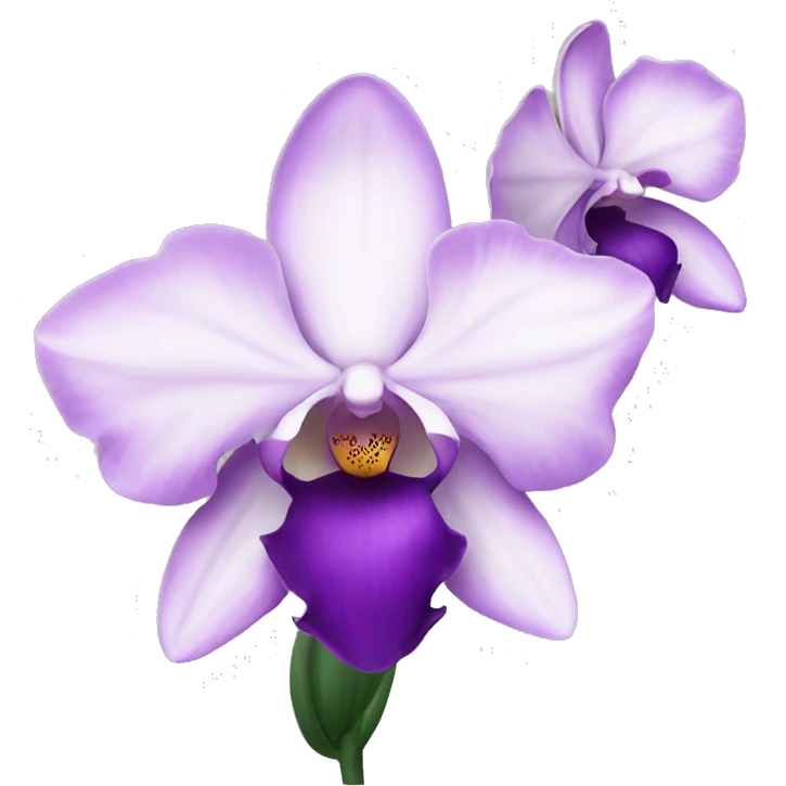 orchid flower emoji