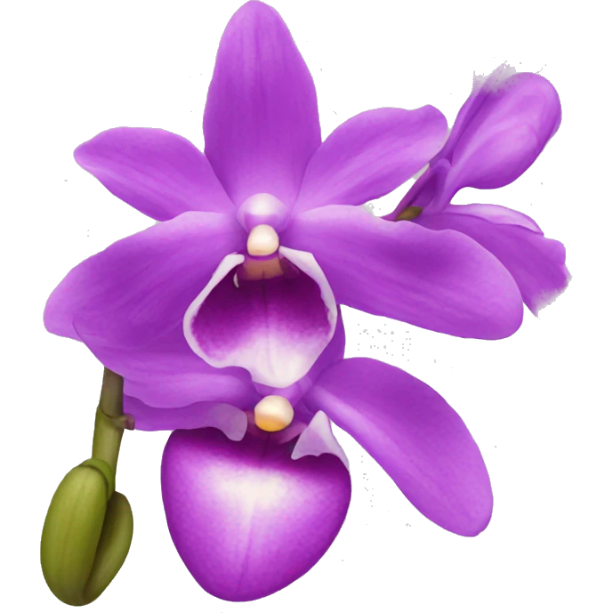 orchid emoji