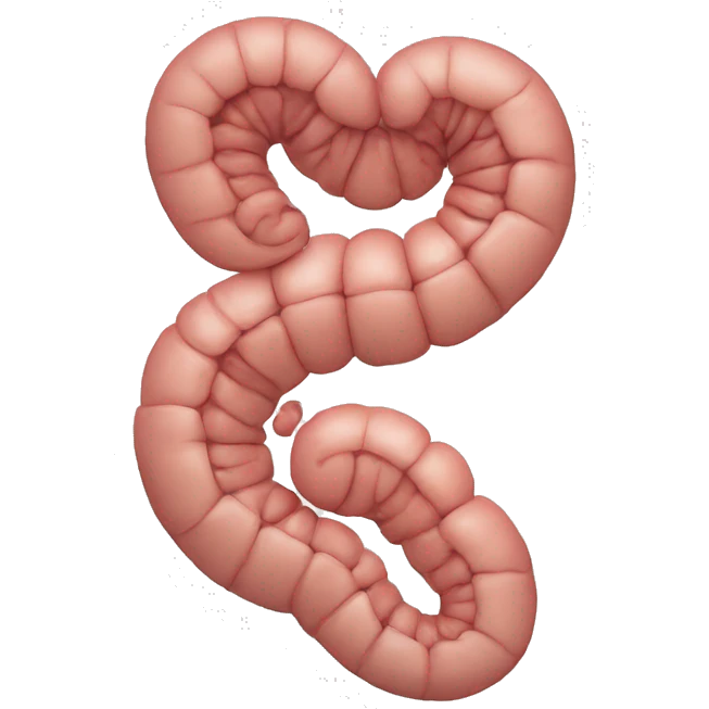 Stomach And intestine emoji