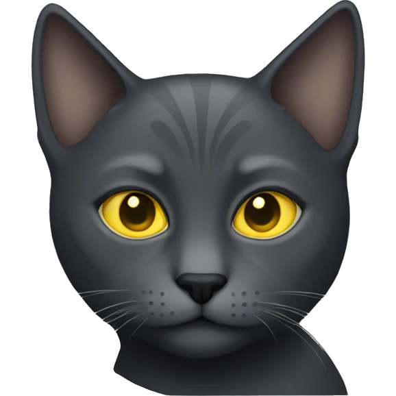 dark grey cat with yellow eyes  emoji