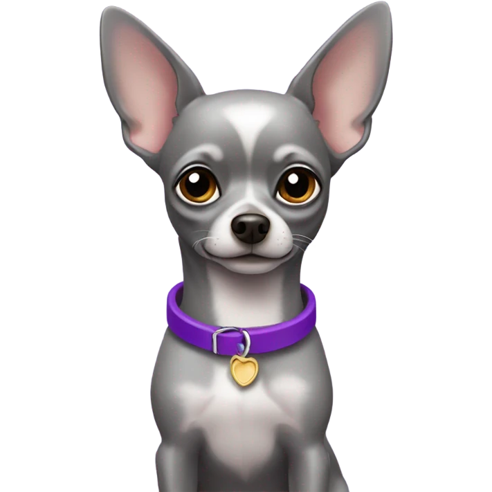 grey chihuahua with purple collar emoji