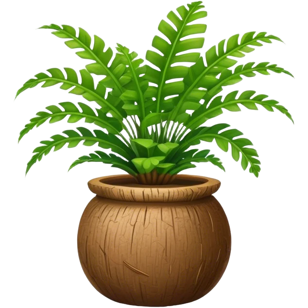 Asplenium nidus plant in round coconut pot emoji