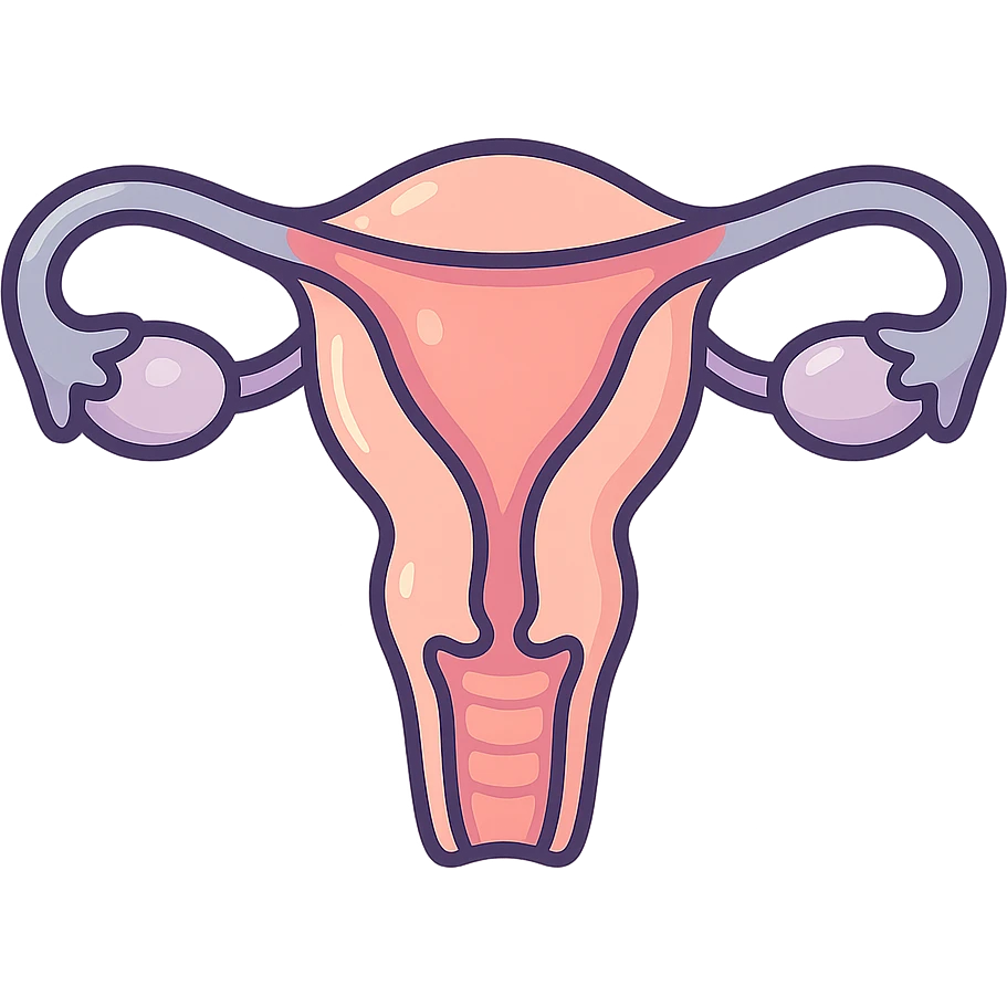 female uterus, very detailed, anatomically accurate shape, detailed shadows and highlights, thin clean contours, soft rounded shapes, pastel palette #98B5BC, #B5B3C1, #C9A3C9, #E4C0CA, #F7DCD1, #F7C0AA, modern Japanese pop art and sticker aesthetic, soft lighting, transparent background emoji