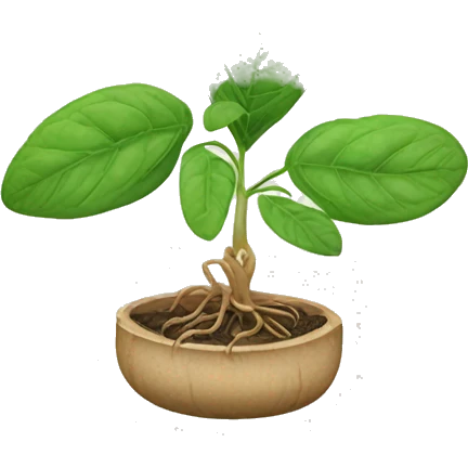 Indian Ginseng plant emoji