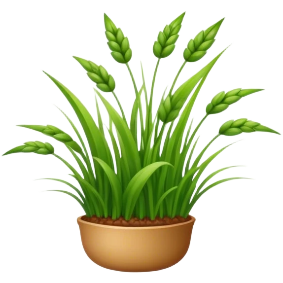 buckwheat grass emoji