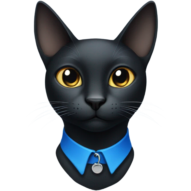 Black cat blue collar emoji