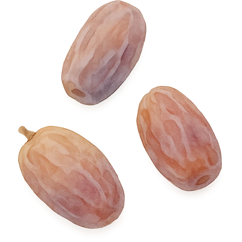 dried dates, soft and artistic watercolor emoji