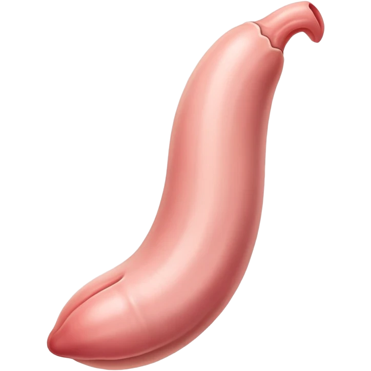 penis in vigina emoji