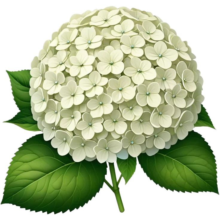 White Hydrangea emoji