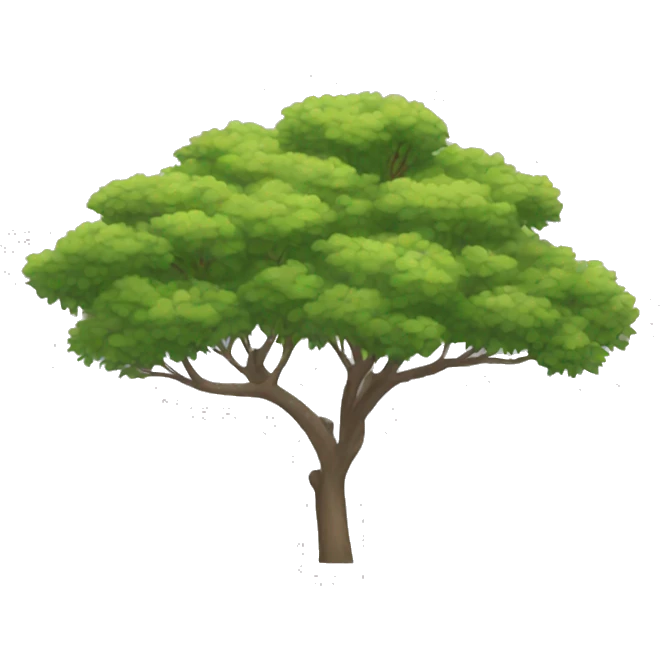Acacia  emoji