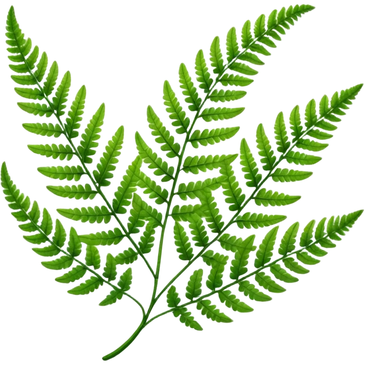 Fern leave emoji
