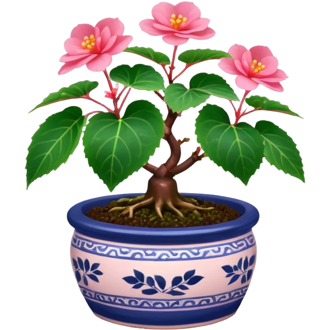 Begonia bonsai emoji