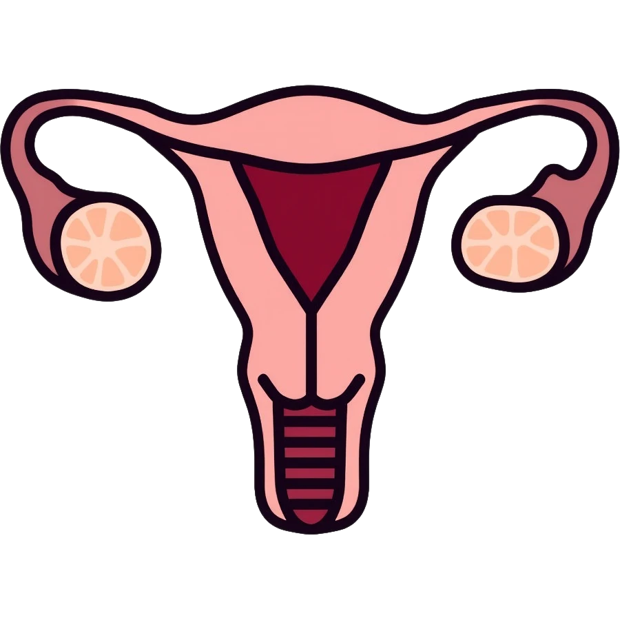 simple medical diagram of male reproductive anatomy, tasteful, anatomical emoji