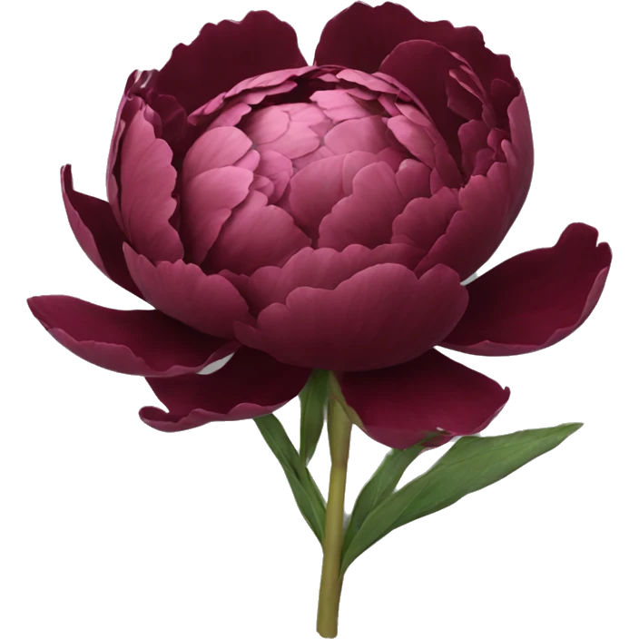 Burgundy peonie  emoji