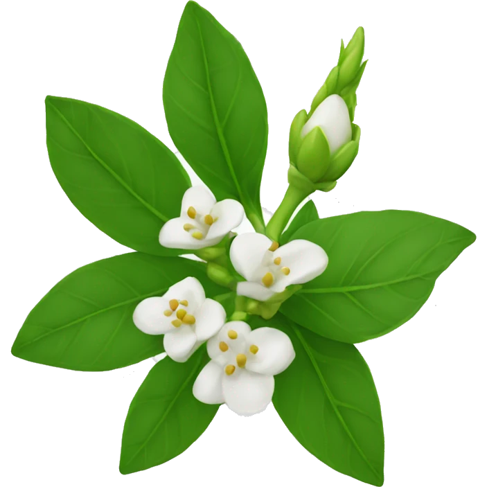 Jasmin buds with green leaves emoji