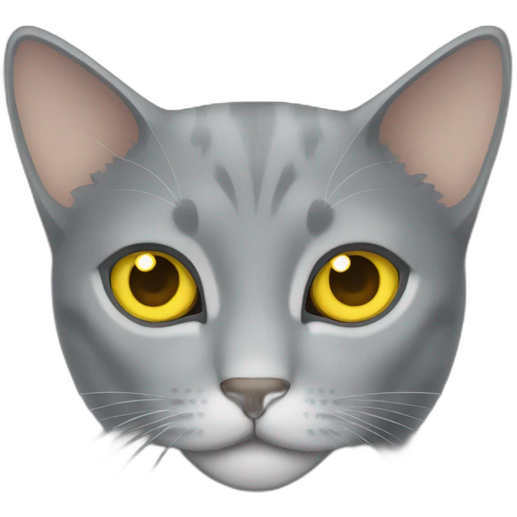 gray cat with yellow eyes  emoji