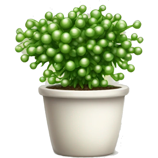 String of pearls houseplant emoji