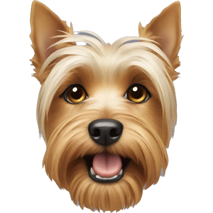 York terrier eat  emoji