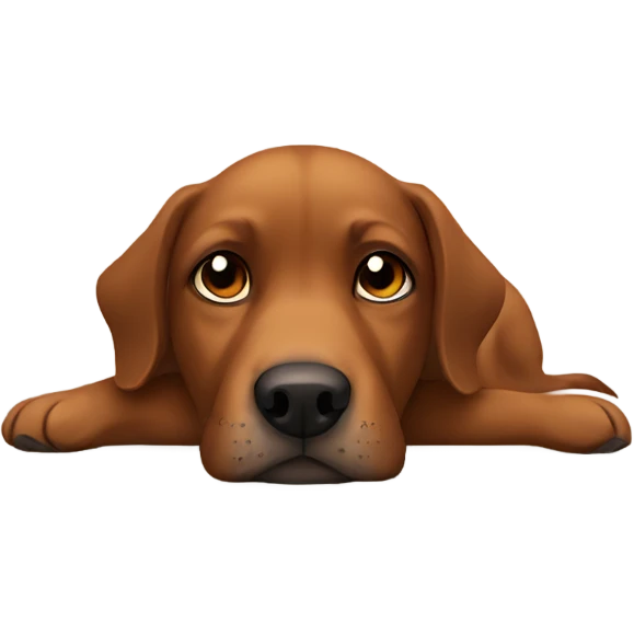 Brown dog resting indoors peacefully emoji