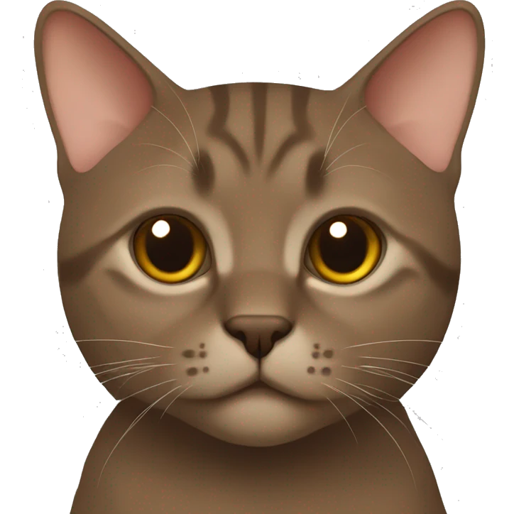 Brown British cat emoji
