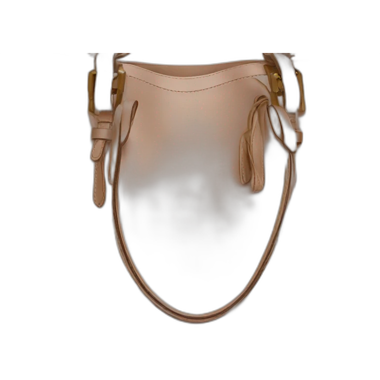 Bottega venetta bag emoji