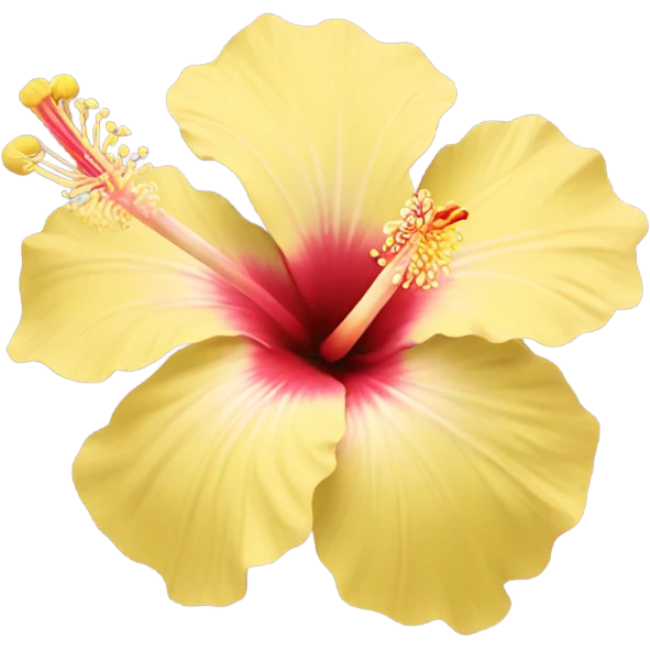 pastel yellow hibiscus emoji