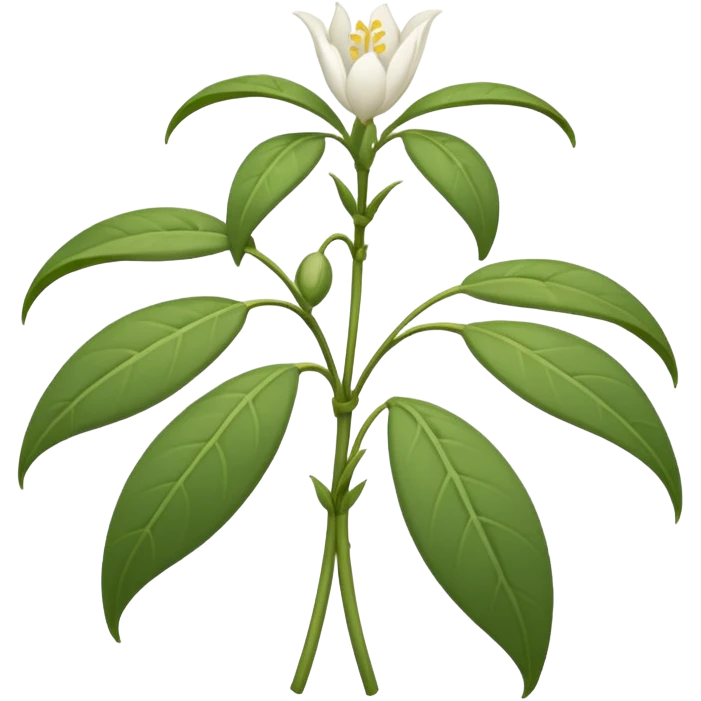 wilted jasmine emoji