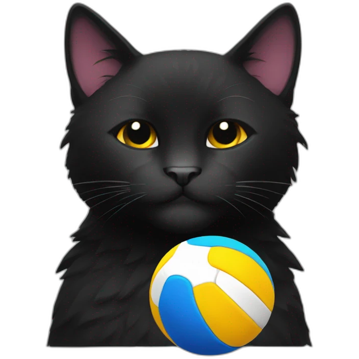 a black cat with a beard and a volleyball emoji