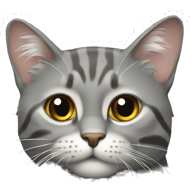 Кот серый с белым  emoji